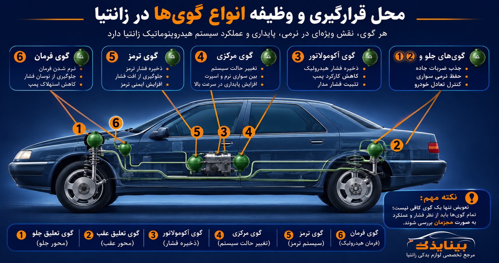 محل قرارگیری و نصب گوی های زانتیا